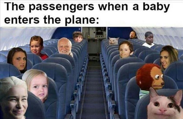 n/1cc8b_z-memes-175.jpg