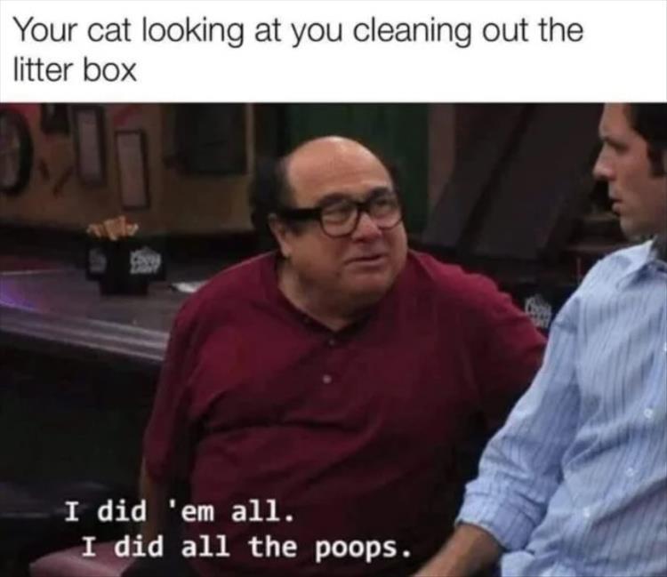 n/24969_youre-the-cats.jpg