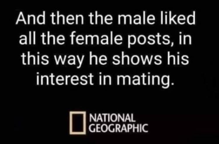 n/27071_z-funny-162.jpg