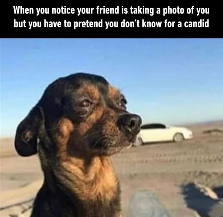 n/27fe3_z-funny-141.jpg