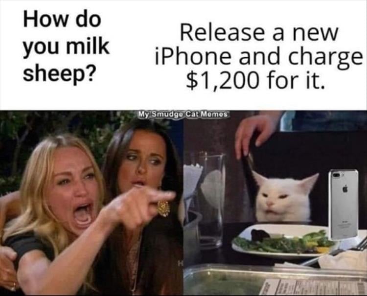 n/2c8b9_when-you-milking-sheep.jpg