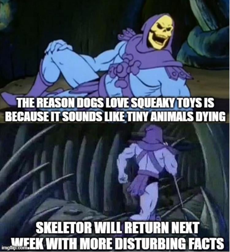n/2d130_z-meme-348.jpg