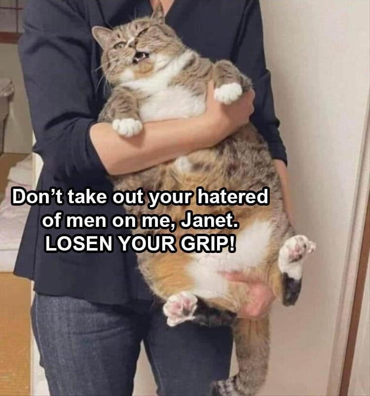 n/355f2_when-the-cat-asks-you-to-losen-your-grip.jpg