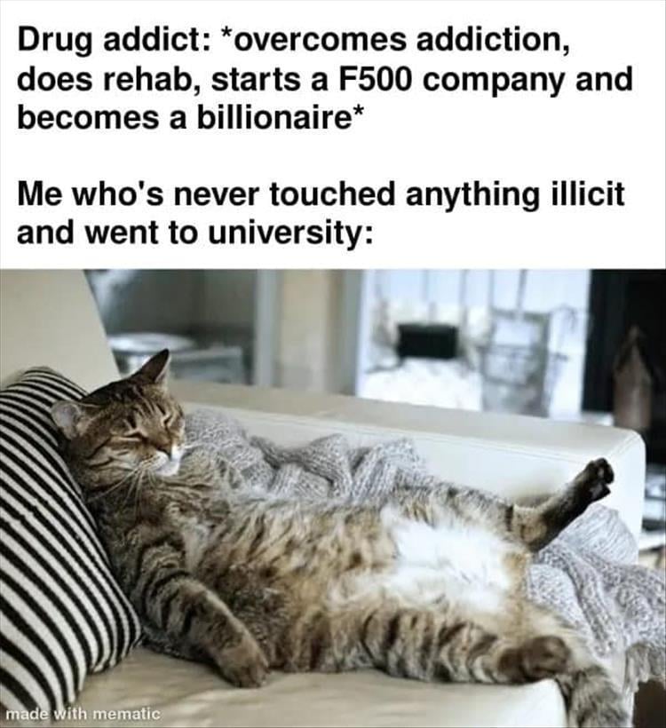 n/3fea8_z-funny-472.jpg