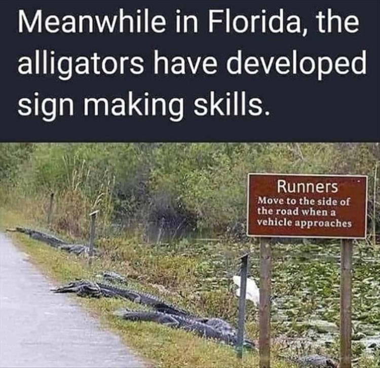 n/4a370_z-funny-471.jpg