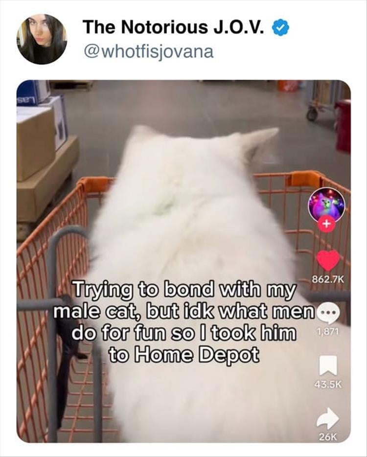 n/4cdae_youre-wanting-home-depot.jpeg