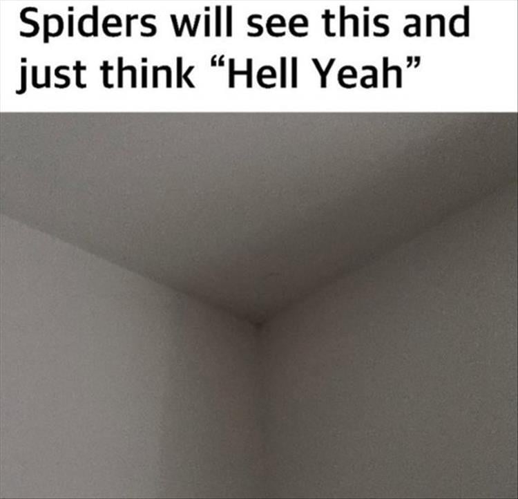 n/4d0ee_z-funny-175.jpg