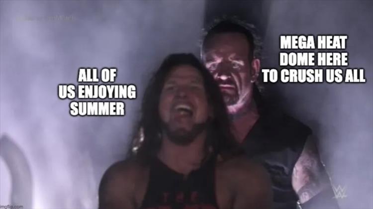 n/4e0ee_youre-enjoying-summer.jpg