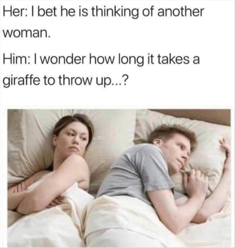 n/53565_z-memers-40.jpg
