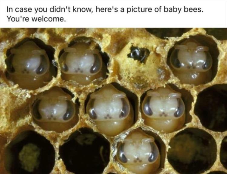 n/55f47_z-funny-182.jpg