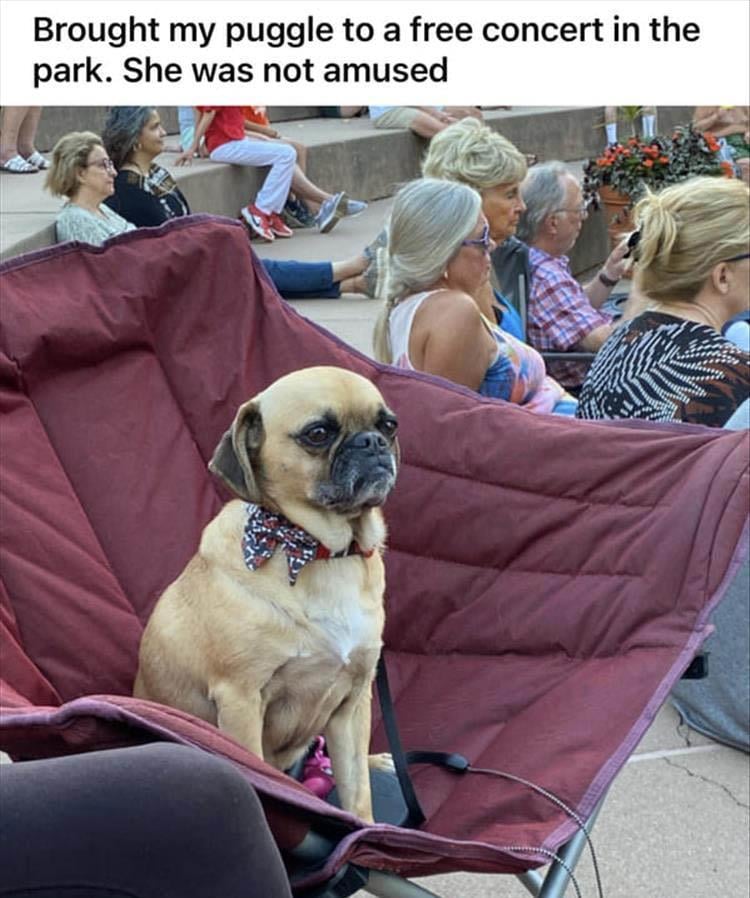 n/6195f_z-meme-42.jpg