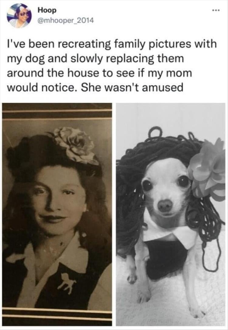 n/73a39_z-funny-6.jpeg