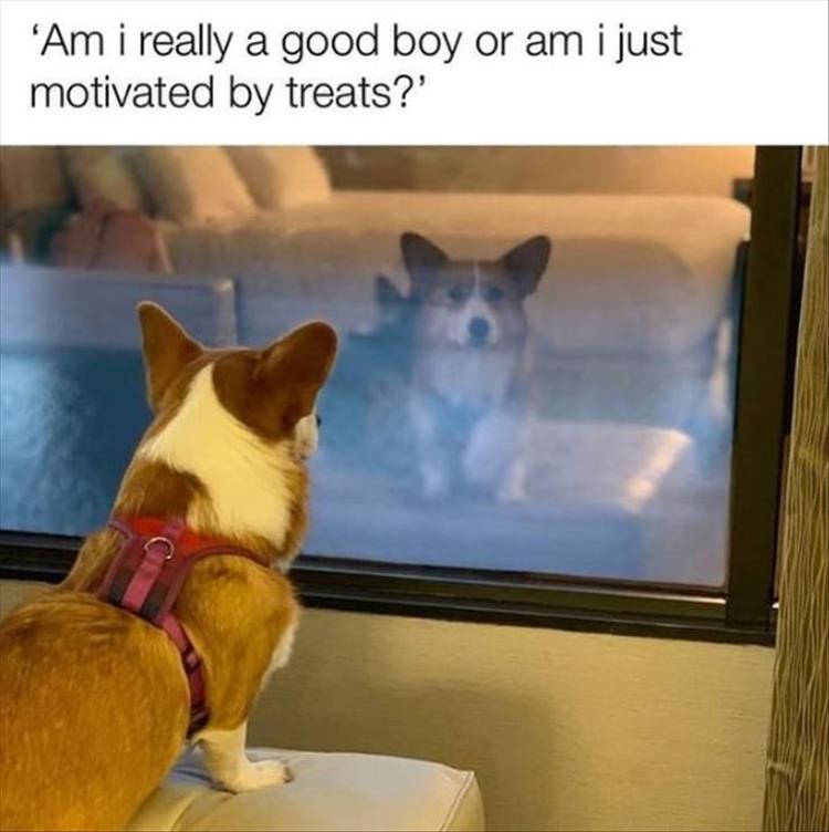 n/7991b_youre-wanting-the-dogs-1.jpg