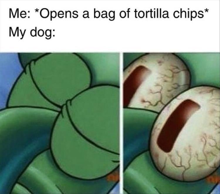 n/8b705_z-memes-61-1.jpg
