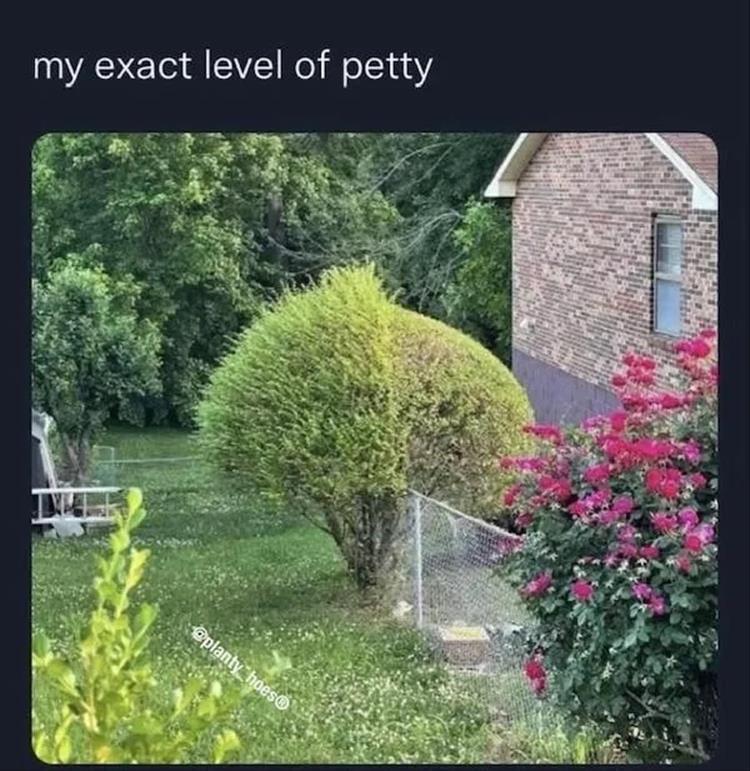 n/8f83e_z-meme-32.jpg
