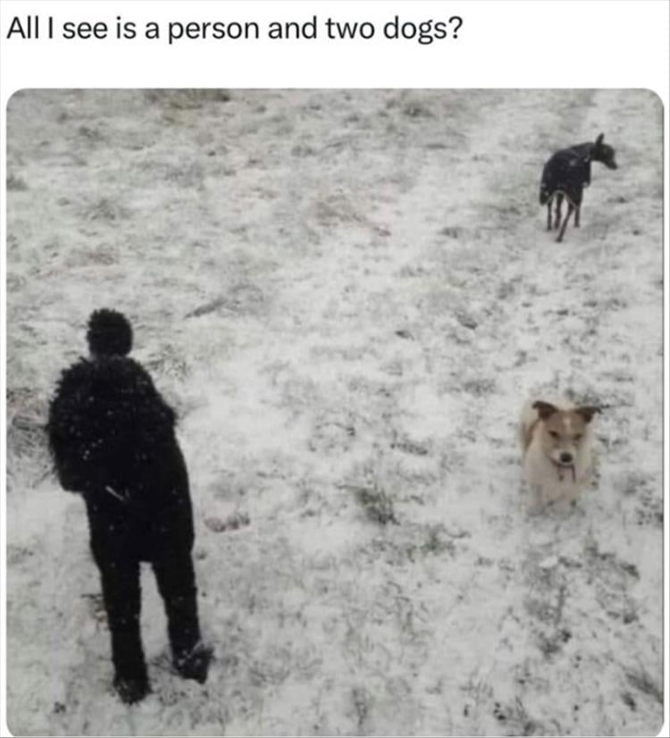 n/90207_youre-dogs.jpg