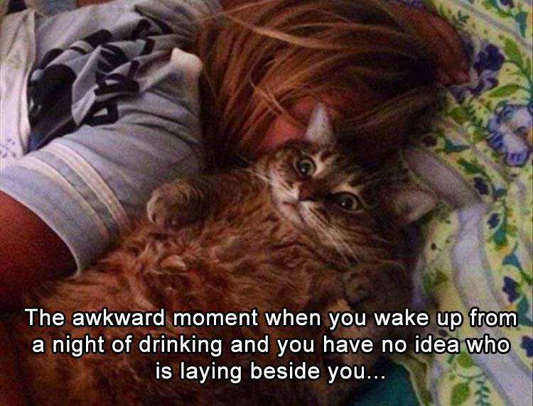 n/96d20_z-funny-550.jpg