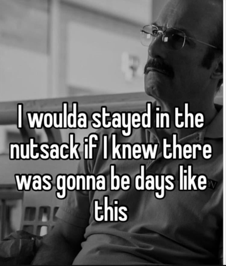 n/9bd55_z-funny-277.jpg