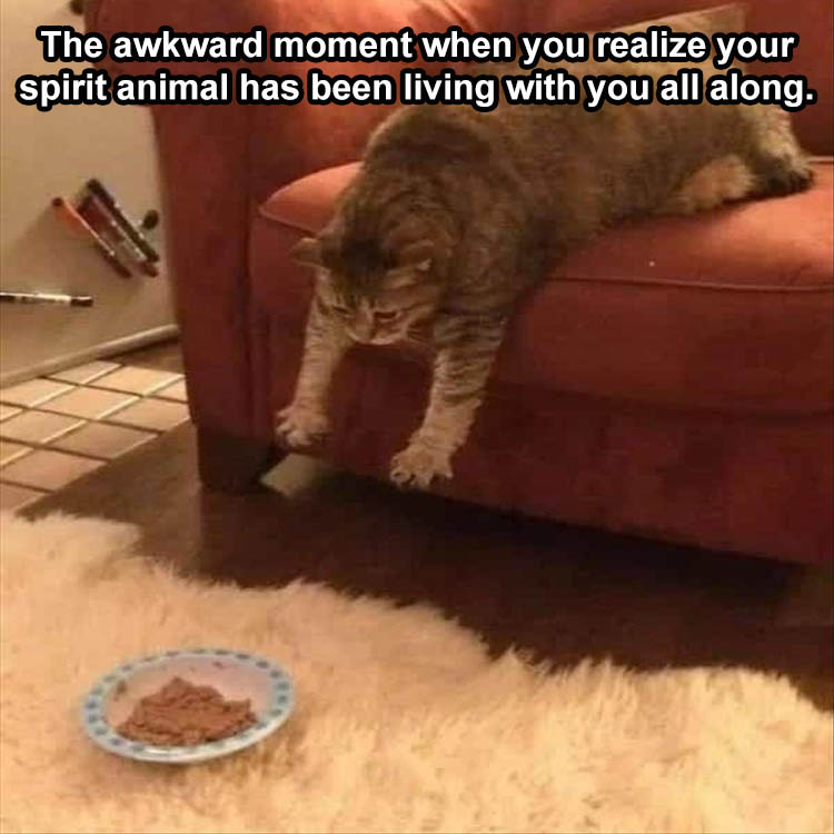 n/a4c6f_when-you-find-your-spirit-animal.jpg