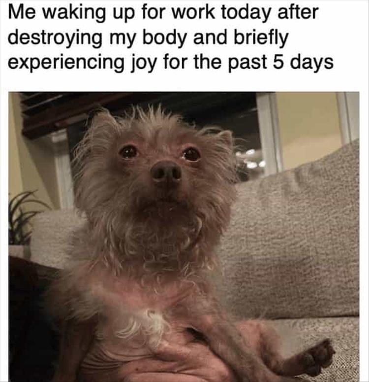 n/a5908_z-meme-76.jpg