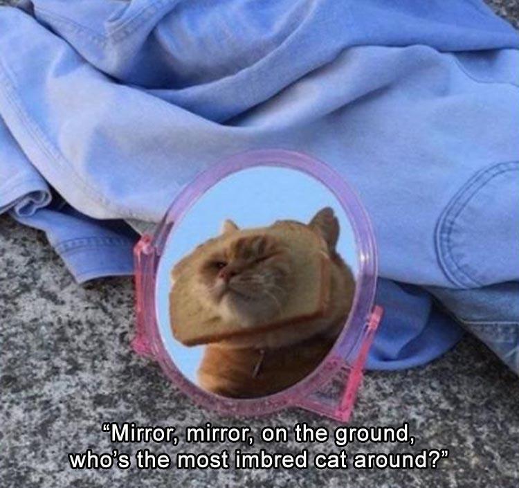 n/a5953_z-memes-54-2.jpg