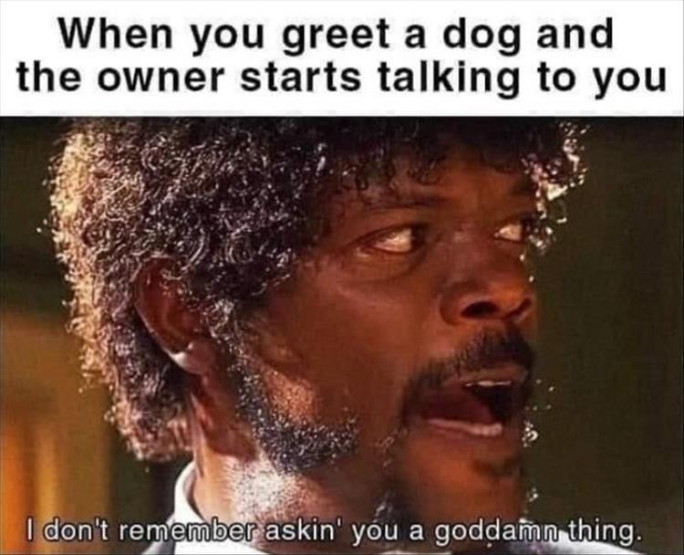 n/a680c_z-meme-71-1.jpg