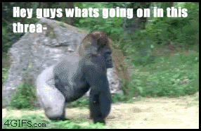 n/b6b71_cihmz.gif