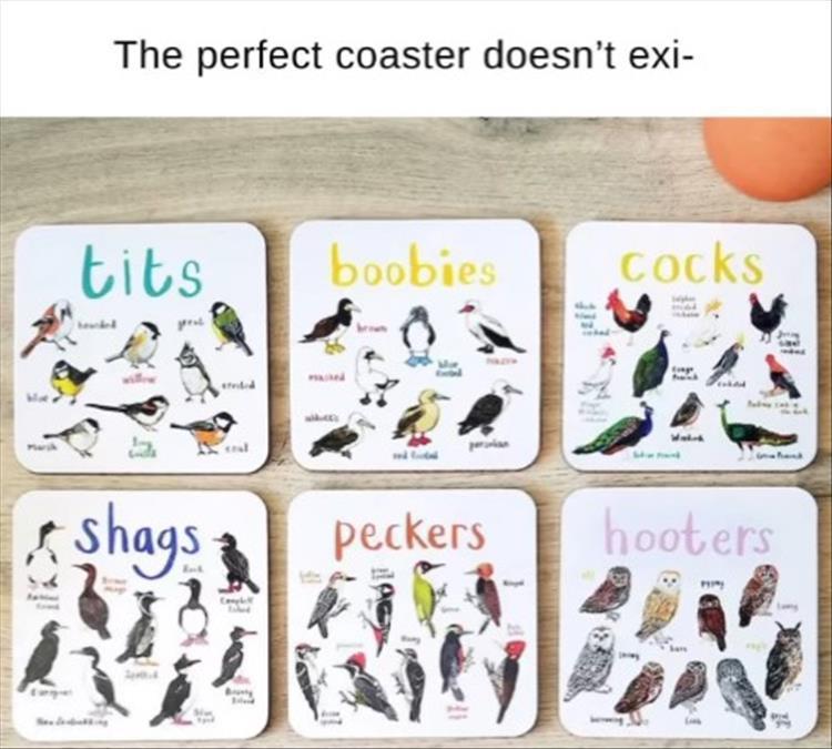 n/be48d_youre-coasters.jpg