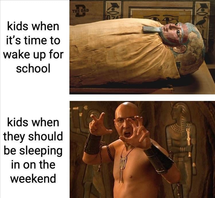 n/c0dda_z-funny-448.jpg