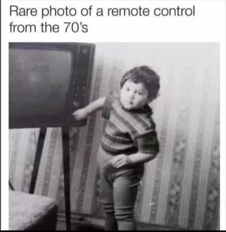 n/c354d_z-meme-53.jpeg