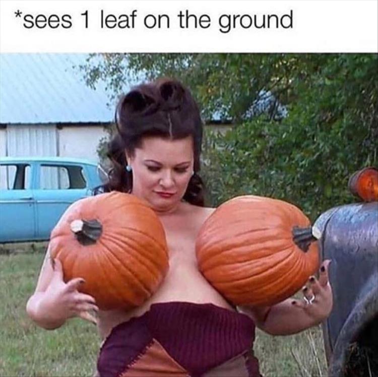 n/c867a_youre-seeing-fall.jpg