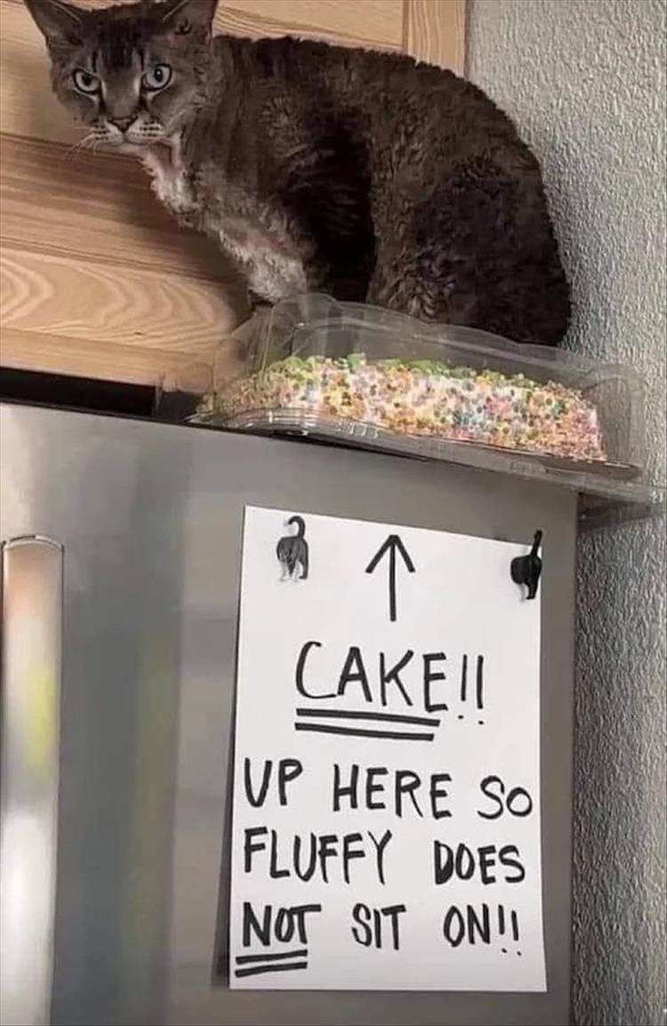n/d4313_youre-cake.jpg