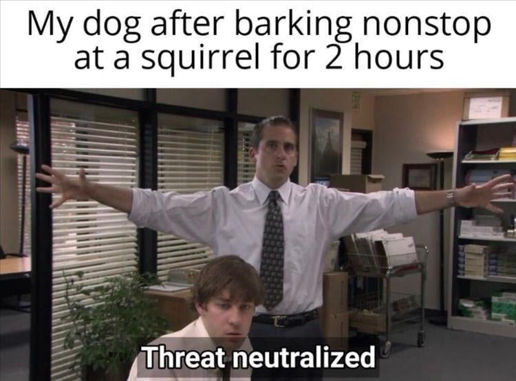n/db9ac_z-memes-206.jpg