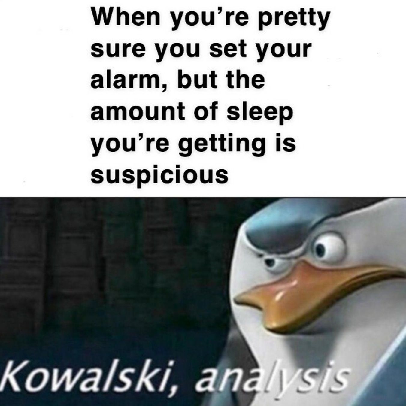 n/e141d_kowalski.jpg