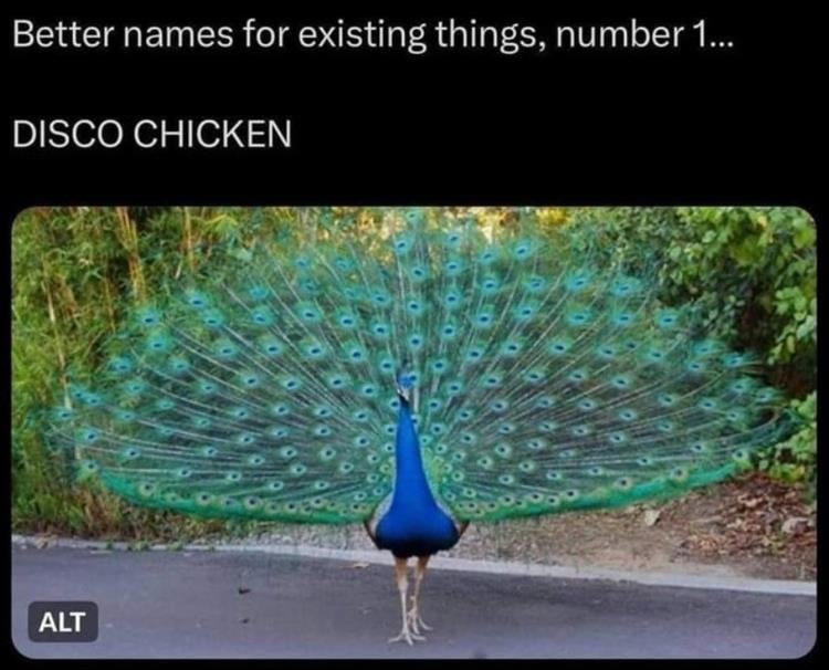 n/e64d6_z-funny-180.jpg