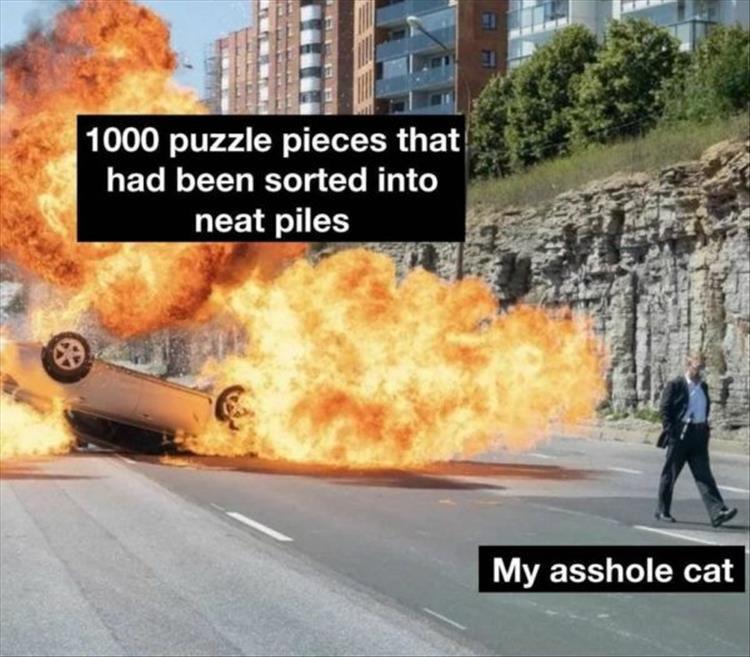 n/e7468_z-memers-10.jpeg