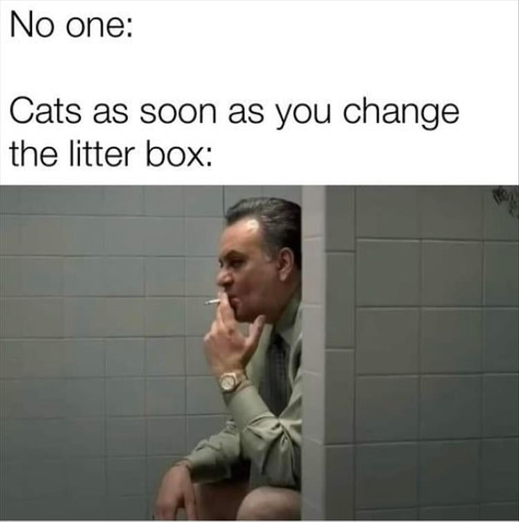 n/eec0b_youre-liters.jpg