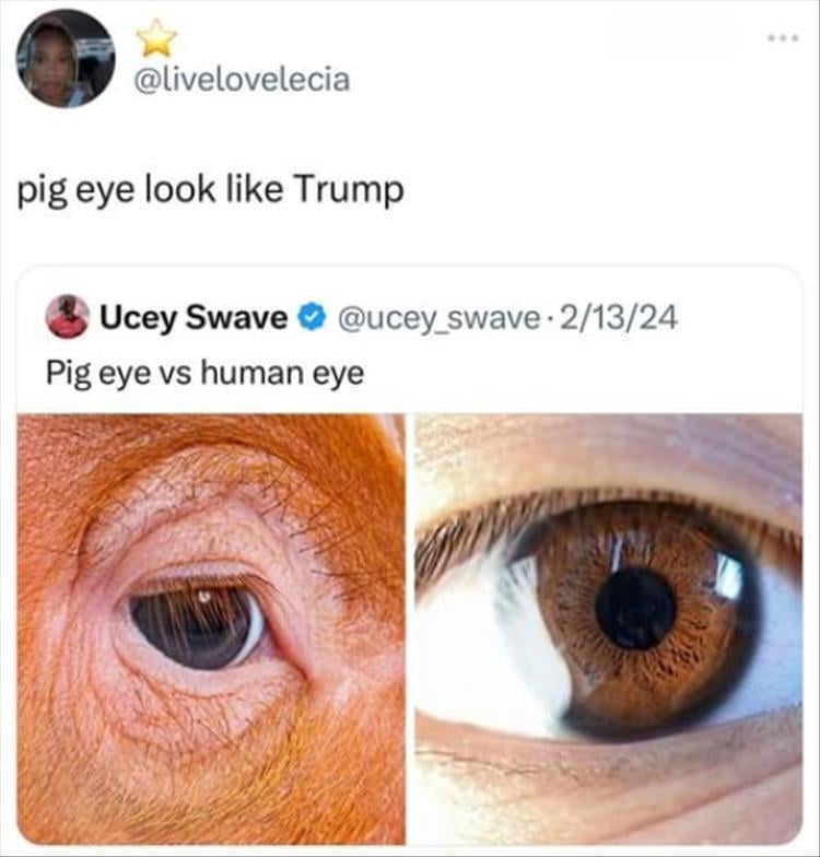 n/eed7b_youre-pigs-eye.jpg