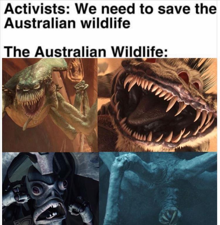 n/f1db1_z-meme-83.jpg