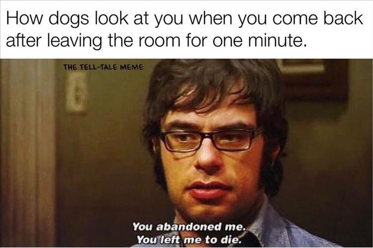 n/f4602_z-memes-57-4.jpg