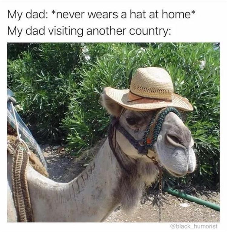 n/f5669_youre-dad.jpg
