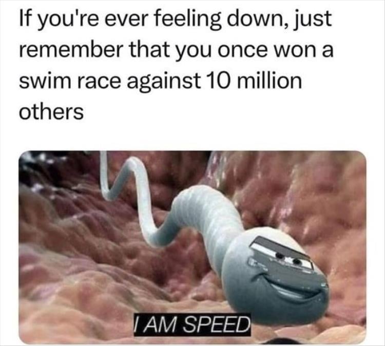 n/f850b_z-memers-44.jpg